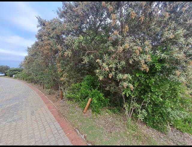 2,779M² VACANT LAND FOR SALE IN SPRINGERBAAI ECO ESTATE